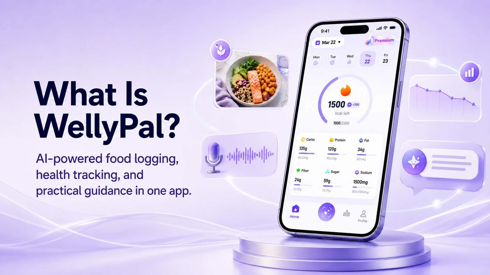 What Is WellyPal overview with AI-powered food logging, health tracking, and practical guidance